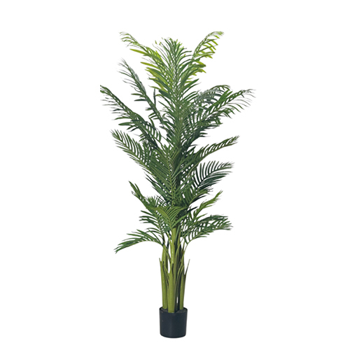 Sg-Tswk-180 Artificial Areca Plam Plant - Breed: Hybrid Cultivar