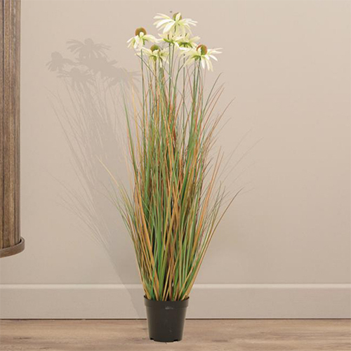 Sg-Tsspz-919 Green Yellow Grass With Flower Plant - Breed: Hybrid Cultivar