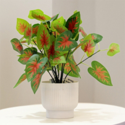 Sg-Bus-101 Artificial Caladium Bicolor Plant - Breed: Hybrid Cultivar