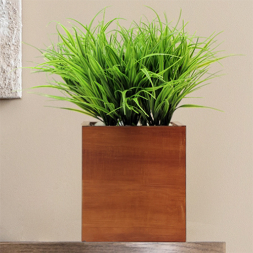 Sg-Bus-119 Artificial Bush Grass Plant - Breed: Hybrid Cultivar