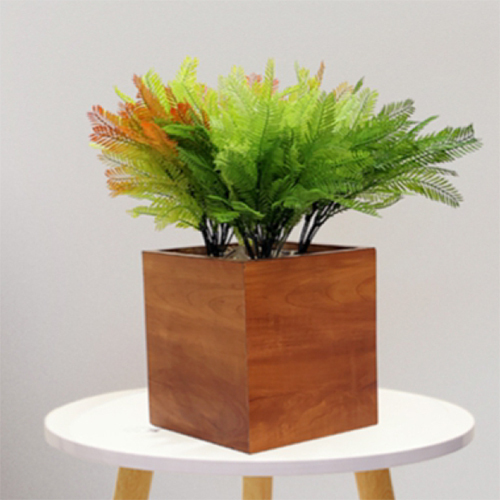 Sg-Bus-127 Artificial Colour Fern Plant - Breed: Hybrid Cultivar
