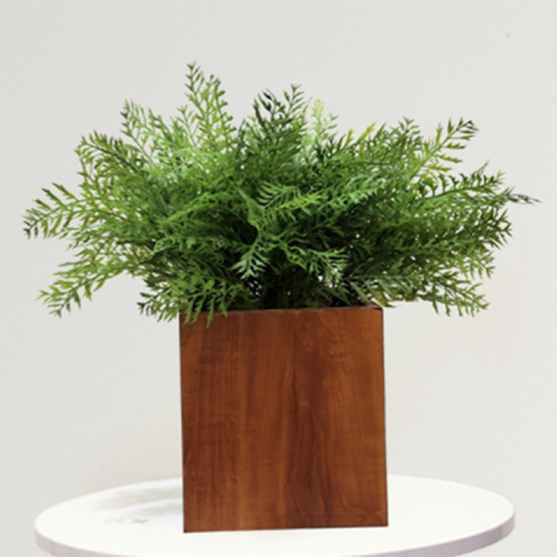 Sg-Bus-115 Artificial Paragus Fern Plant - Breed: Hybrid Cultivar