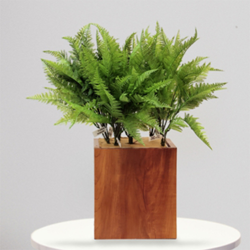 Sg-Bus-118 Artificial Davallia Fejeensis Plant - Breed: Hybrid Cultivar