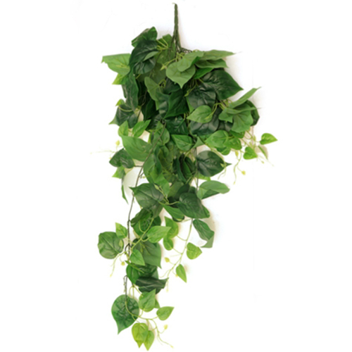 Sg-Lsc-10 Artificial Money Falling Creepers Plant - Breed: Hybrid Cultivar