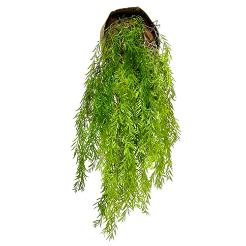 Sg-Lsc-118 Artificial Eagle Fern Creepers Plant - Breed: Hybrid Cultivar