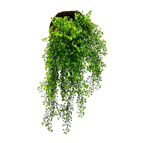 Sg-Lsc-113 Artificial Gypsophila Creepers Plant - Breed: Hybrid Cultivar