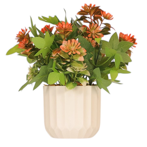 Sg-Bn1 Bonsai Plant With Pot - Breed: Hybrid Cultivar