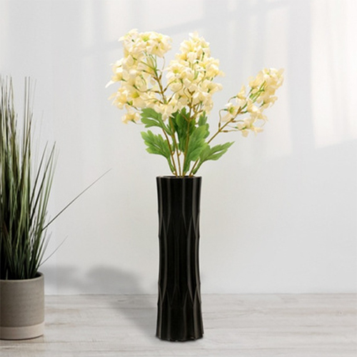 Sg-Fl-115 Yarrow White Flower Plant - Breed: Hybrid Cultivar