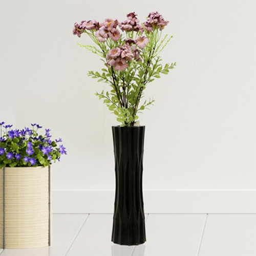 Sg-Fl-109 Geraniums Purple Flower Plant - Breed: Hybrid Cultivar