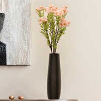 Sg-fl-112 Geraniums Light Pink Flower Plant - Breed: Hybrid Cultivar