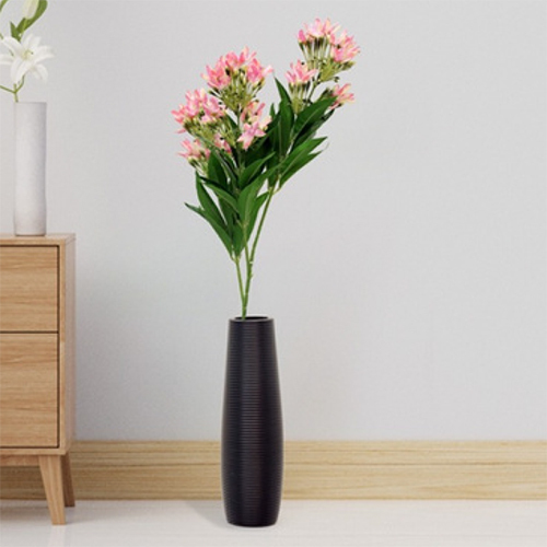 Sg-Fl-107 Gentiana Pink Flower Plant - Breed: Hybrid Cultivar