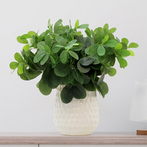 SG-SP-133 Flora Guards Ficus Plant