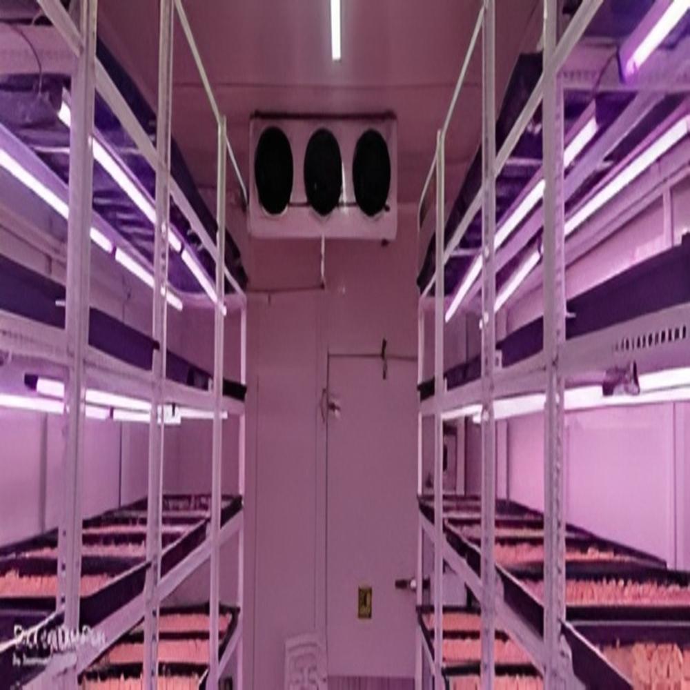 Saffron Cold Room - Climate Type: Warm & Cool