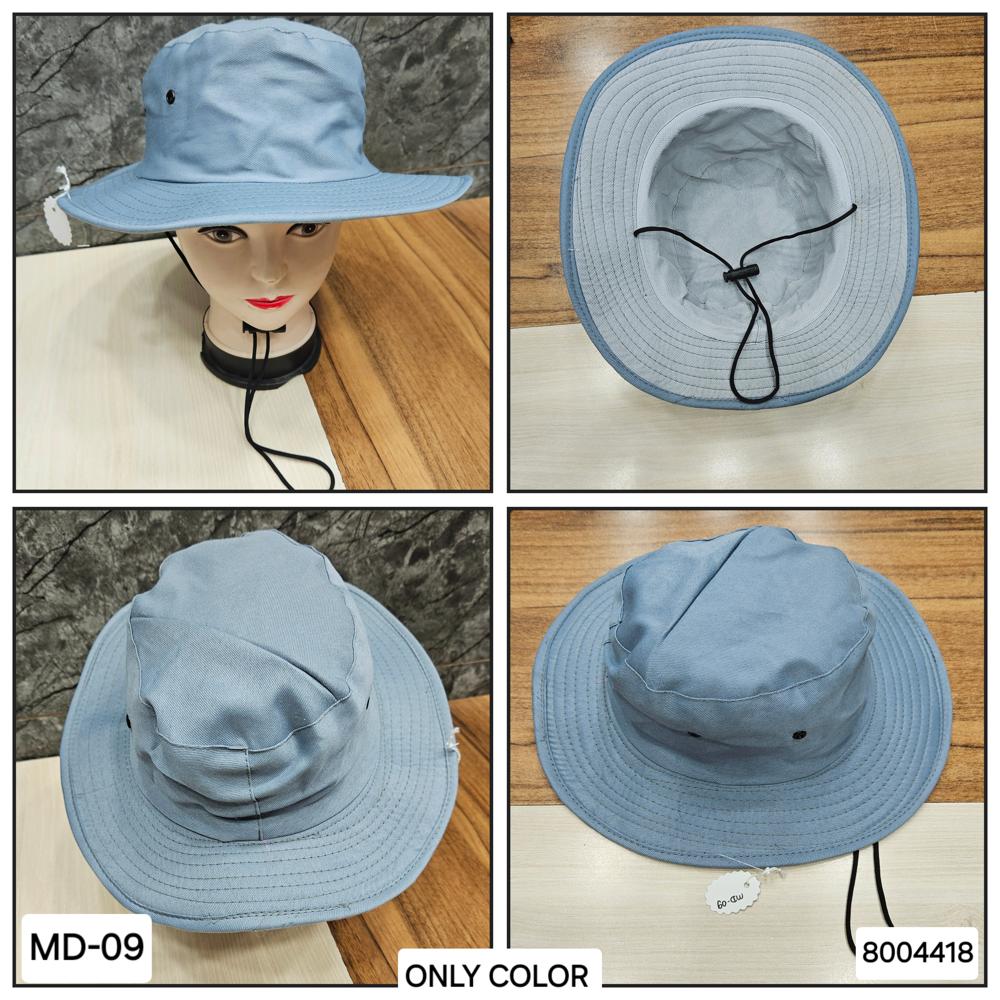 Fancy Ladies Hats - Color: Multicolor