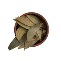 Bay Leaf