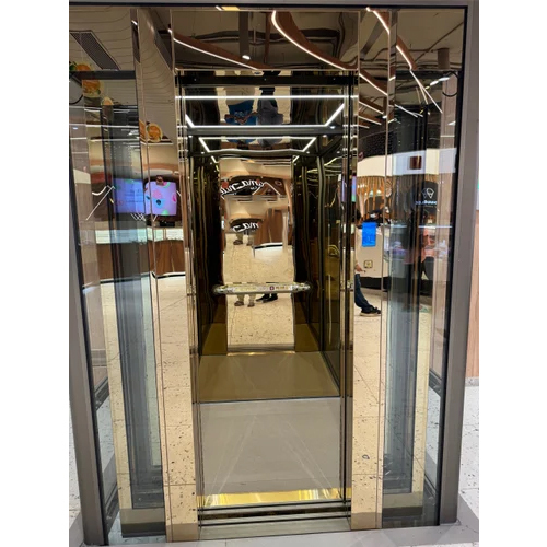 4 Person Residential Elevator - Material: Stainless Steel