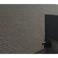 Flat Asphalt Shingles - Color: Any Color