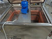 ice candy plant