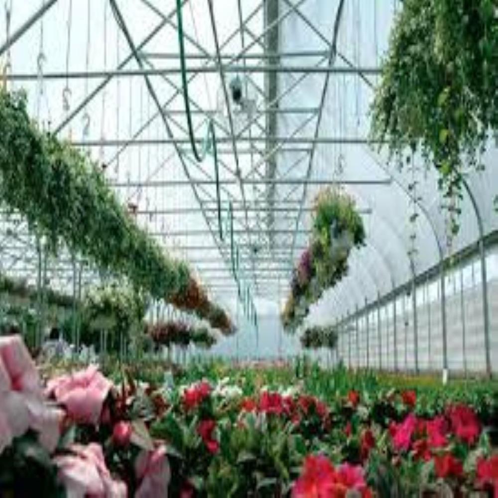Naturally Ventilated Greenhouse