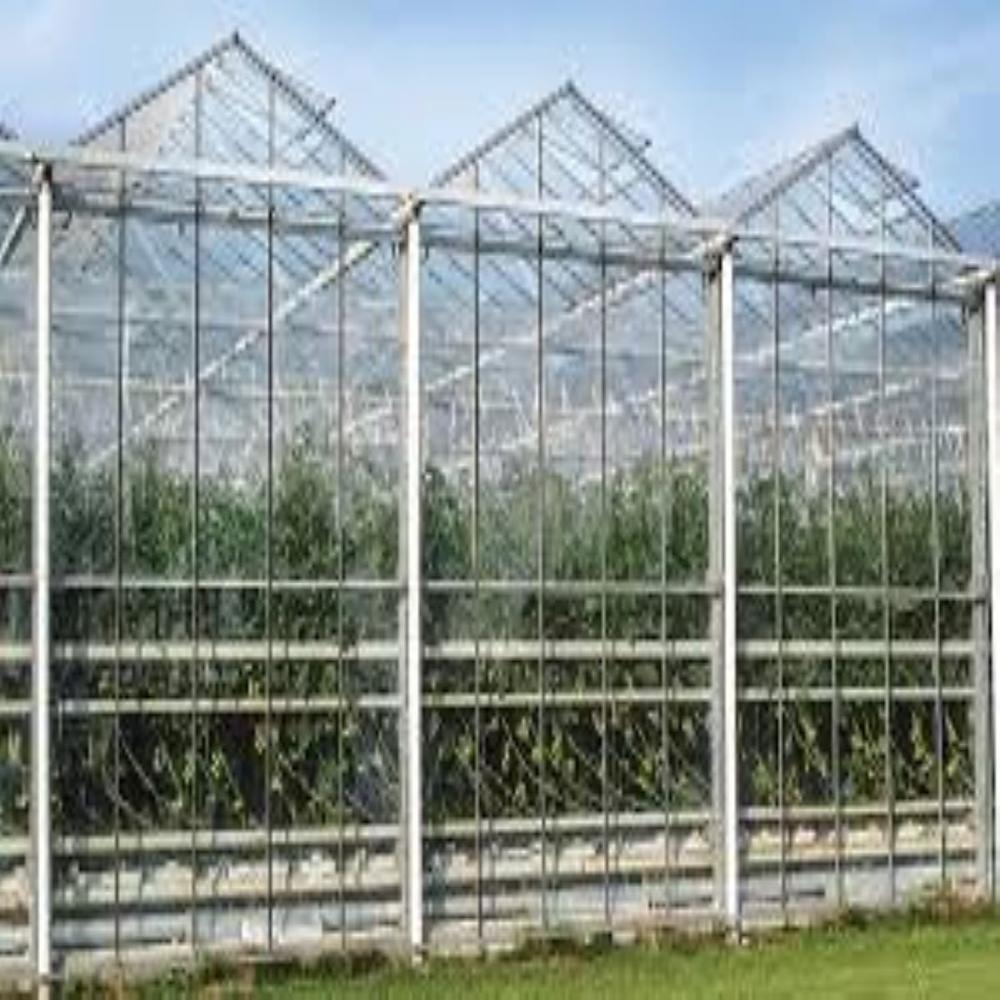 Naturally Ventilated Greenhouse - Features: Eco Friendly