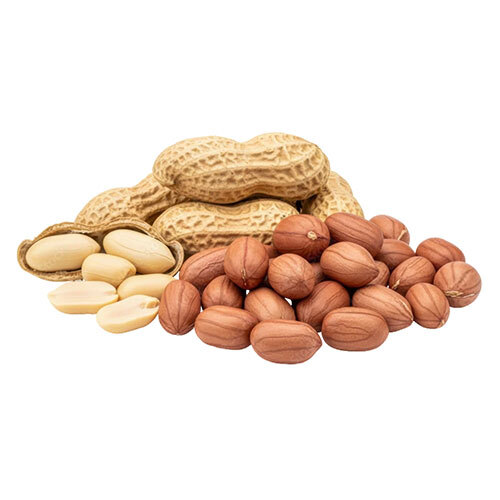Peanut Seed