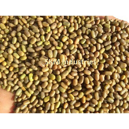 Sesbania Seed (Dhaincha) - Color: Natural
