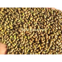 Sesbania Seed (dhaincha) - Color: Natural