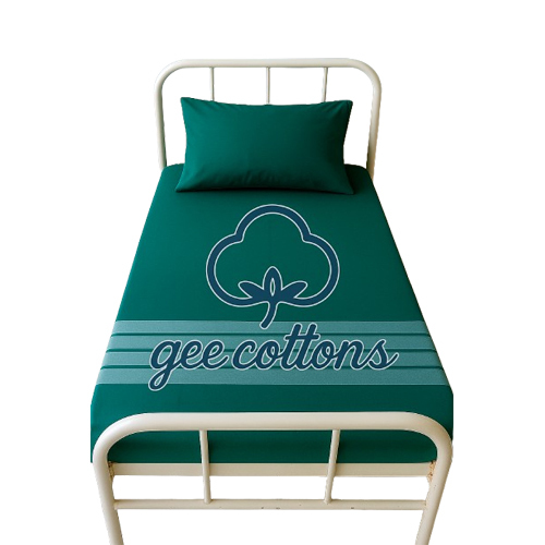 50*90 Green Color Hospital Bed Sheet(1+1) Set