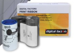 Dfs Ribbons - Color: Multicolor