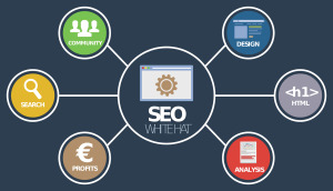 Web Design And Digital Marketing Services