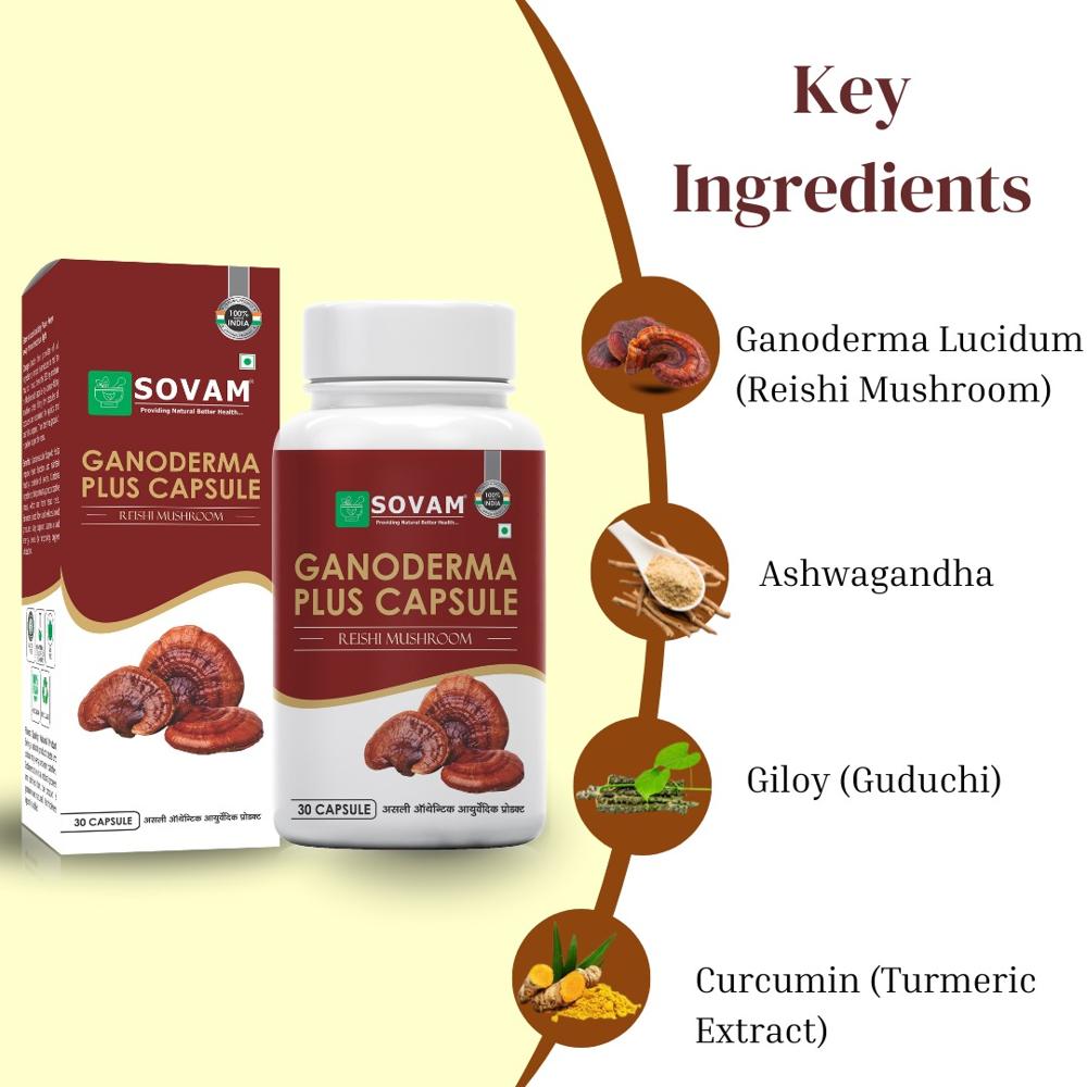 ganoderma plus capsule Ayurvedic Medicine 