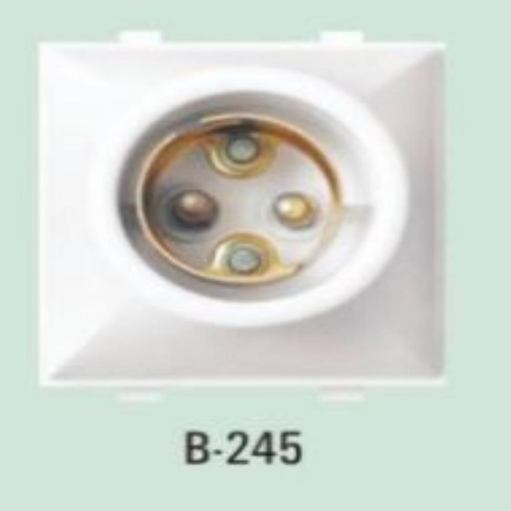 Holder|  Batten Holder