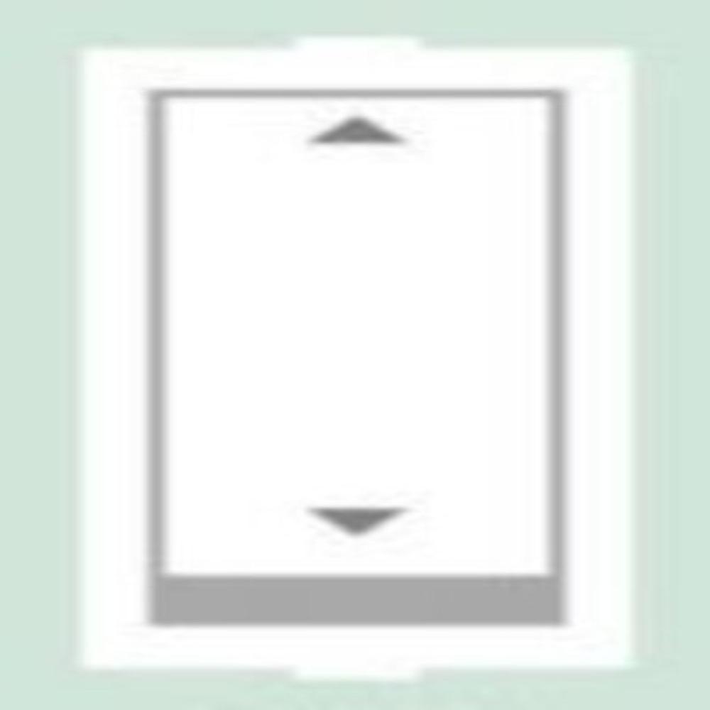 Modular Switches | Rocker 6 Amp. 2 Way Switch (Rt) - Color: White