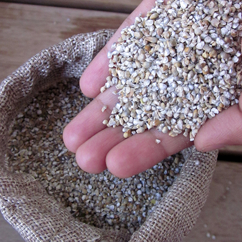 Broken Bajra (Kambu) - Cultivation Type: Organic