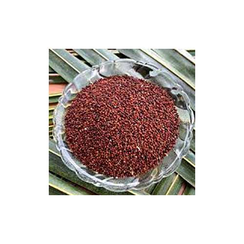 Ragi Seeds