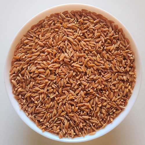 Organic Samba Wheat - Application: Food
