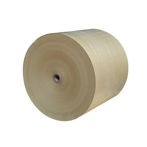Paper Roll
