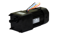 FHP Induction Motor 90 Watt
