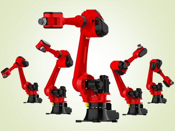 100kg I+Lite Family Robot