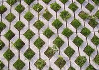 Grass Paver