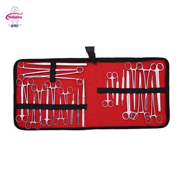 Surgical Kit- 24 Pisces I Veterinary Surgical Instrument Rust Proof Ss (1 Pcs) - Color: Silver