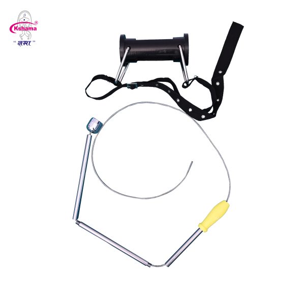 Iron Absorber for Animal Stomach