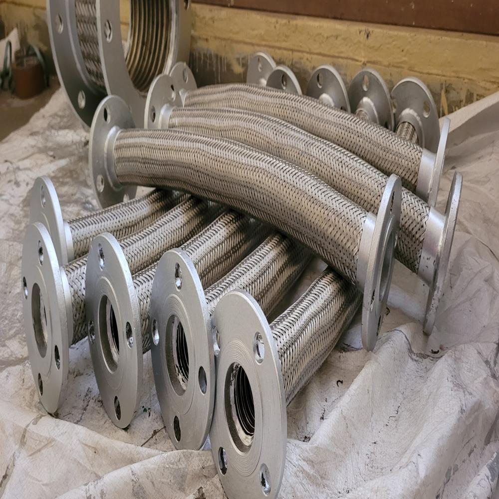 Stainless Steel Flexible Hose
