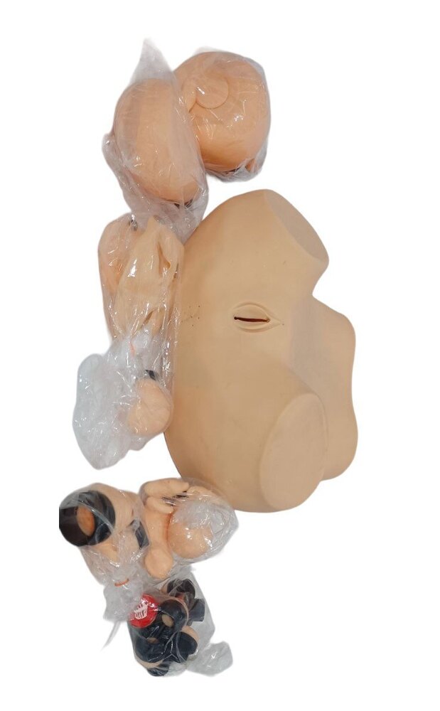 Gynaecological Training Simulator