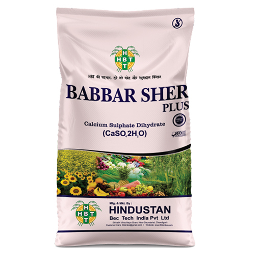 BABBAR SHER Calcium Sulphate Dihydrate (CaSo 2H O