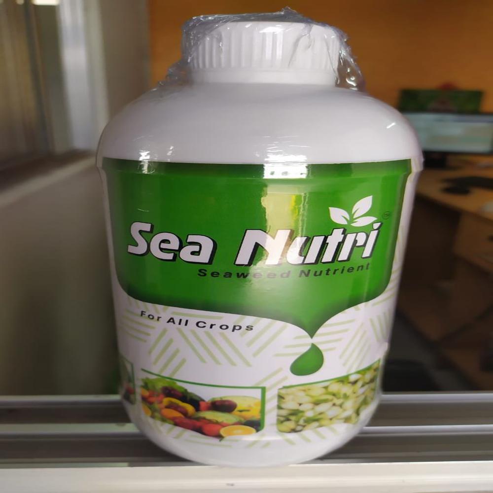Seaweed Liquid - Natural Extract , Mild Odour With 24 Month Shelf Life, Ideal For Enhancing Plant Growth And Soil Fertility