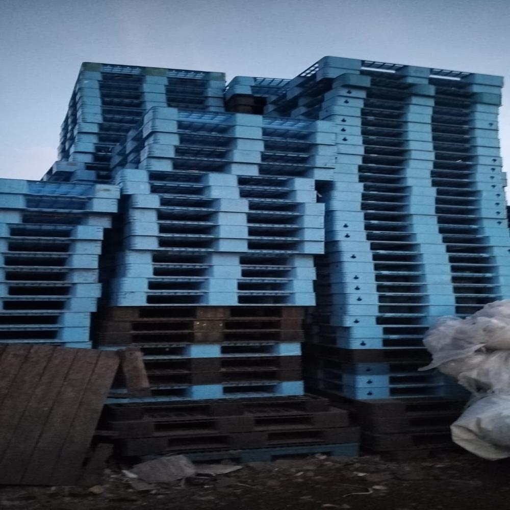 Plastic Pallets 43