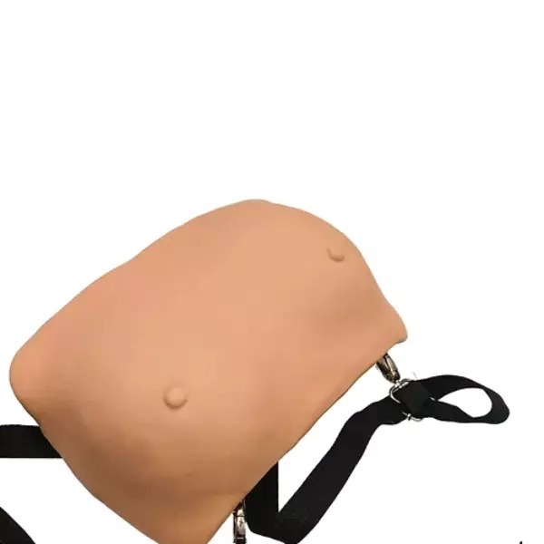 Best Price Breast Examination Model - Application: Hospital
