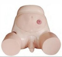 Best Price Male Catheterization Model - Application: Hospital
