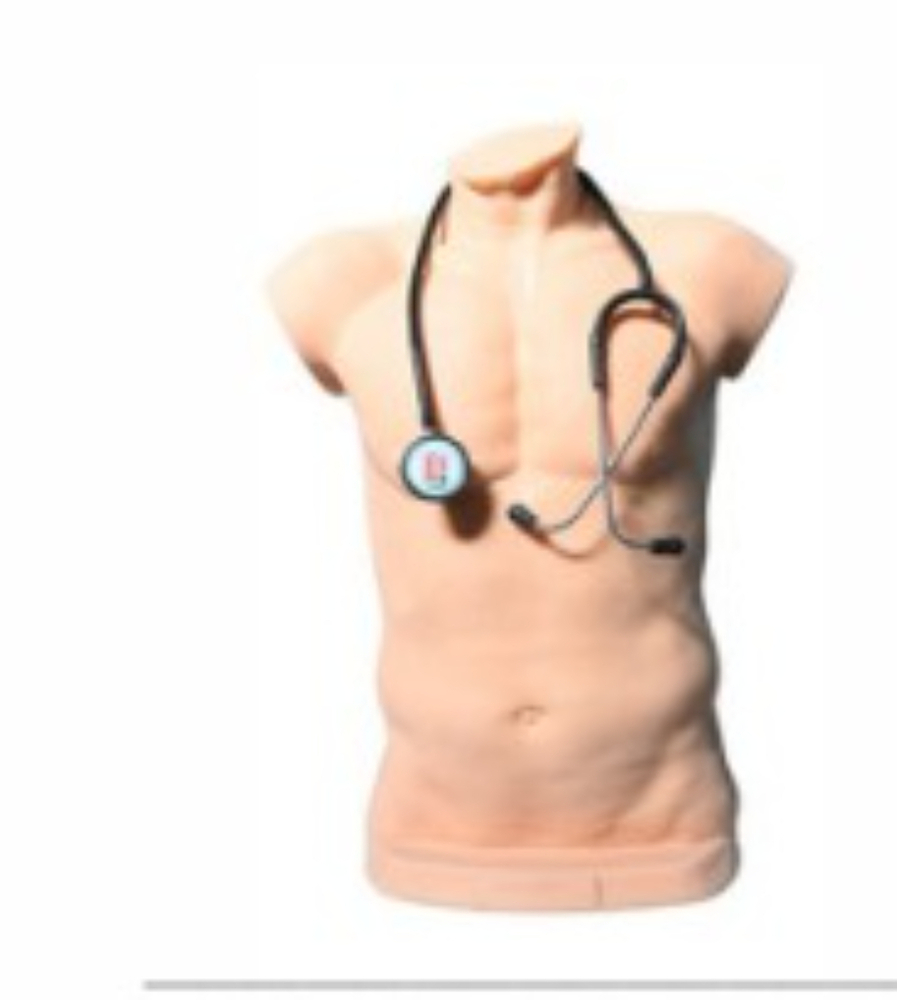 Best Price Lung Auscultation Model ( Adult ) - Size: Standard